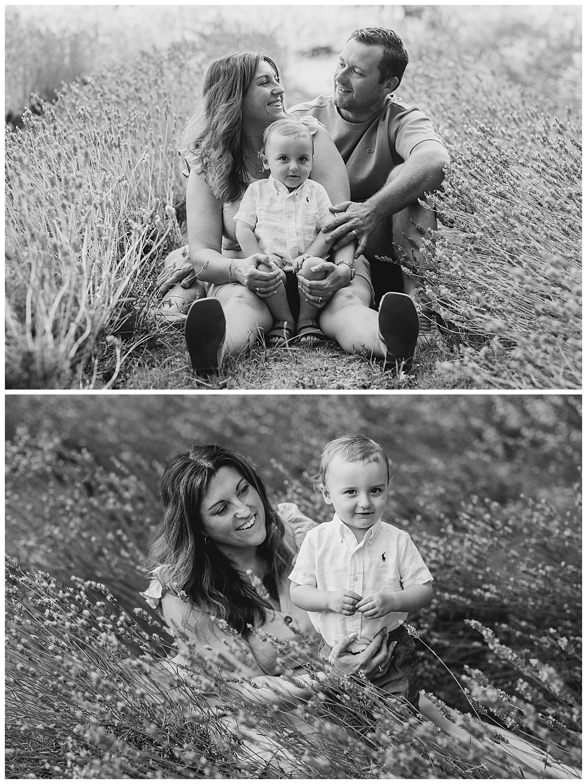 black and white Lavender Family Photography at Little Mountain Lavender Farm