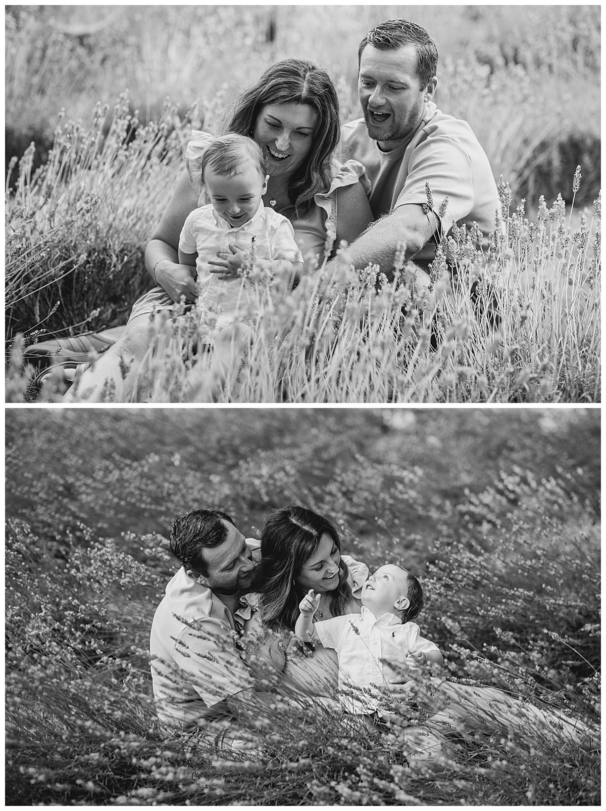 black and white Lavender Family Photography at Little Mountain Lavender Farm