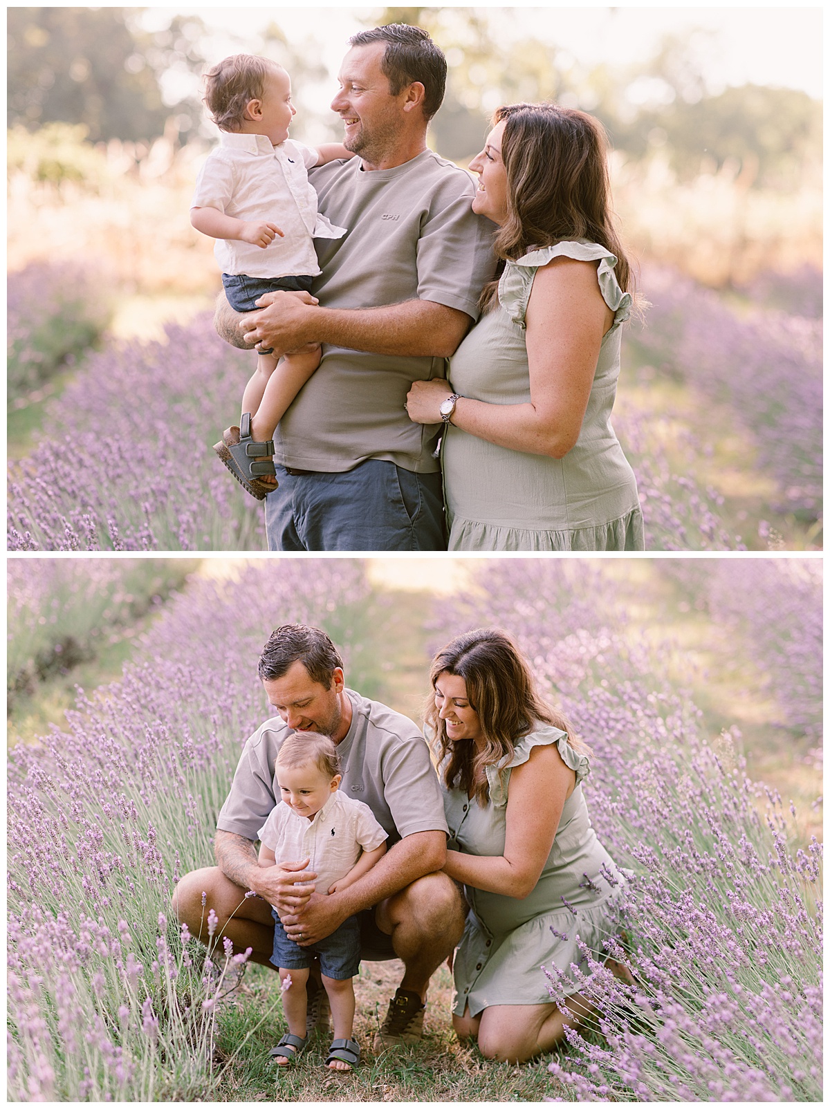 Lavender Family Photography at Little Mountain Lavender Farm