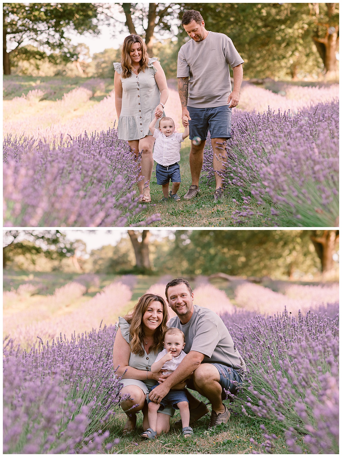 Lavender Family Photography at Little Mountain Lavender Farm