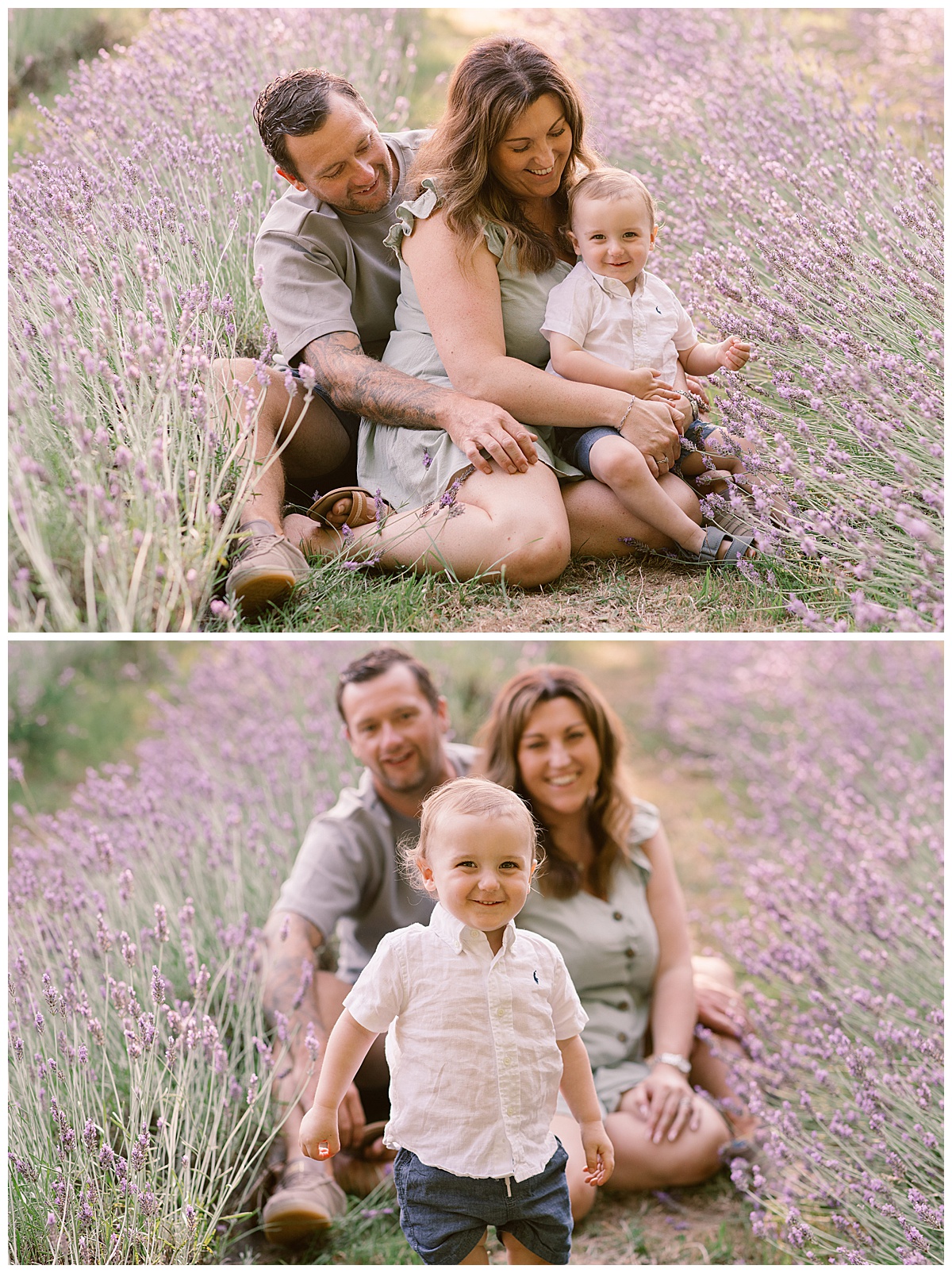 Lavender Family Photography at Little Mountain Lavender Farm