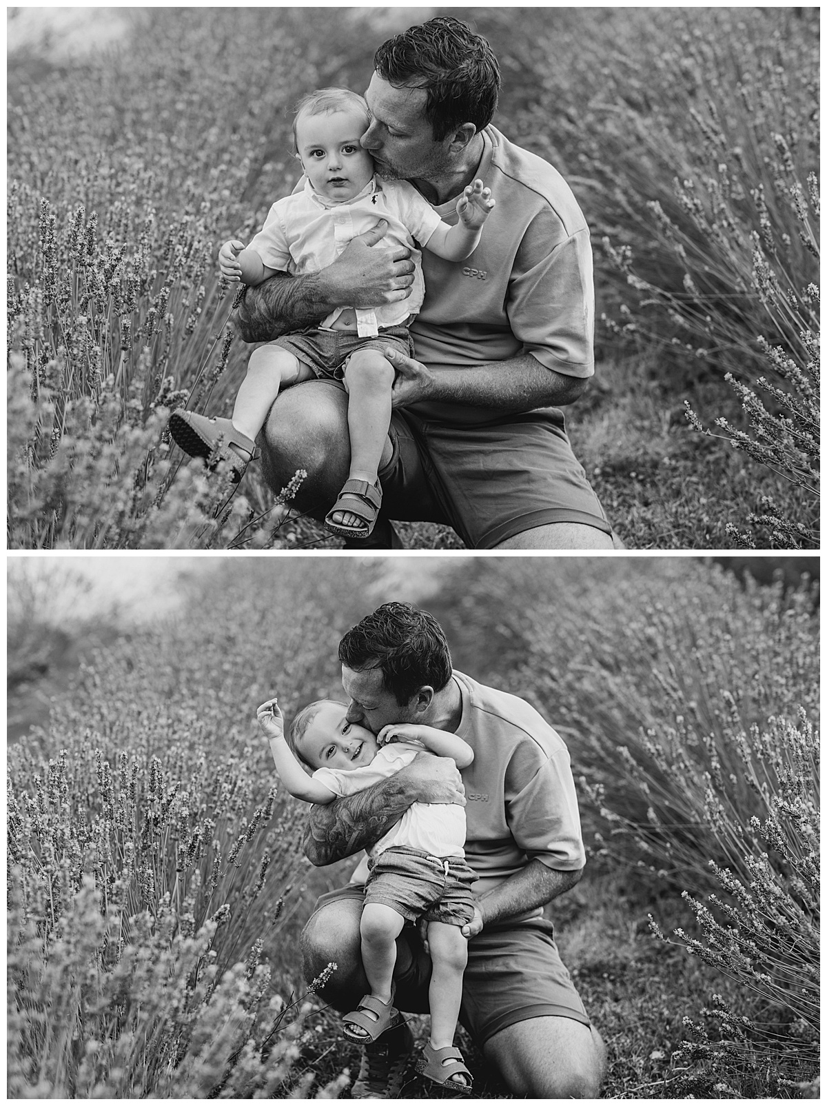 black and white Lavender Family Photography at Little Mountain Lavender Farm