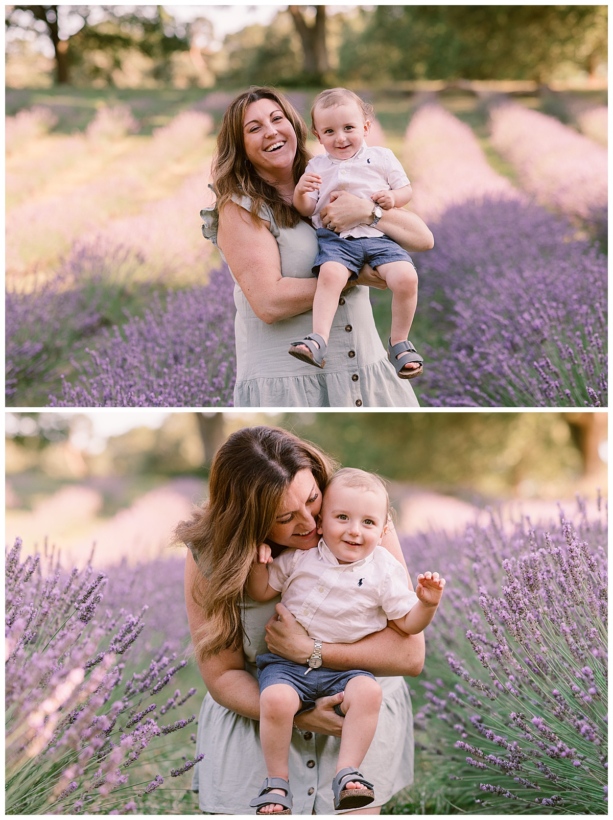 Lavender Family Photography at Little Mountain Lavender Farm