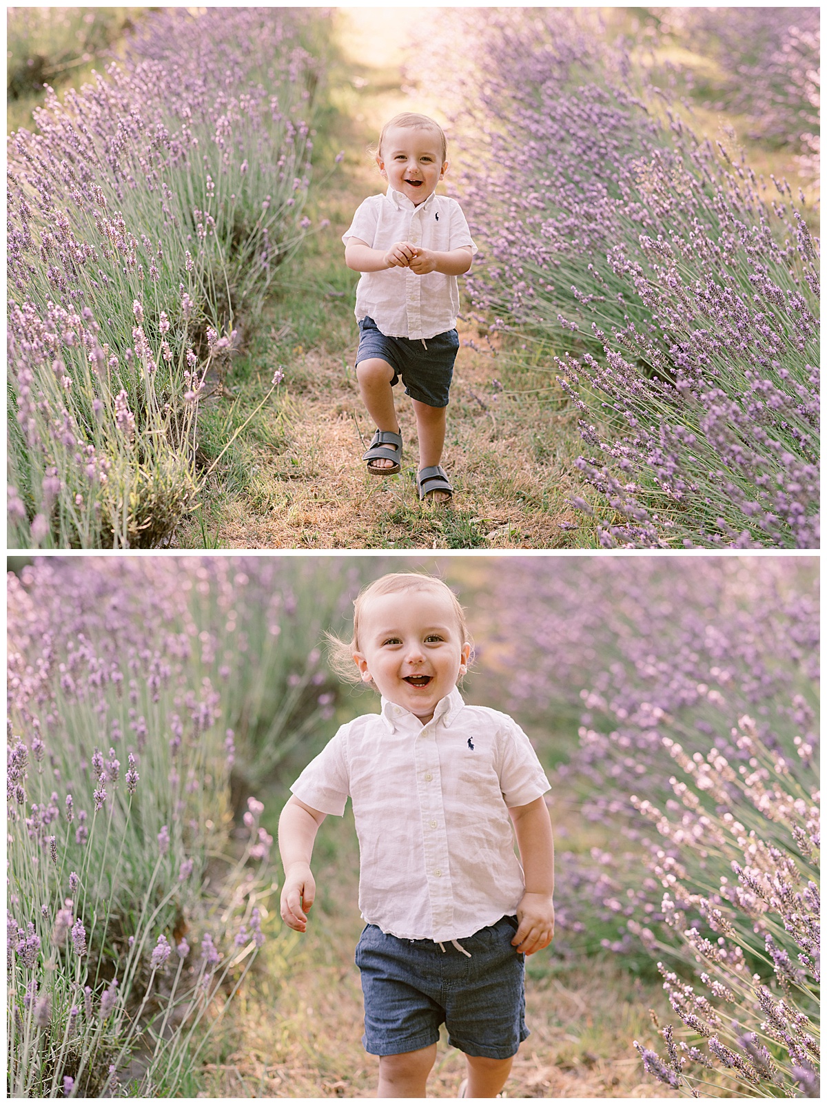 Little boy running through the lavender