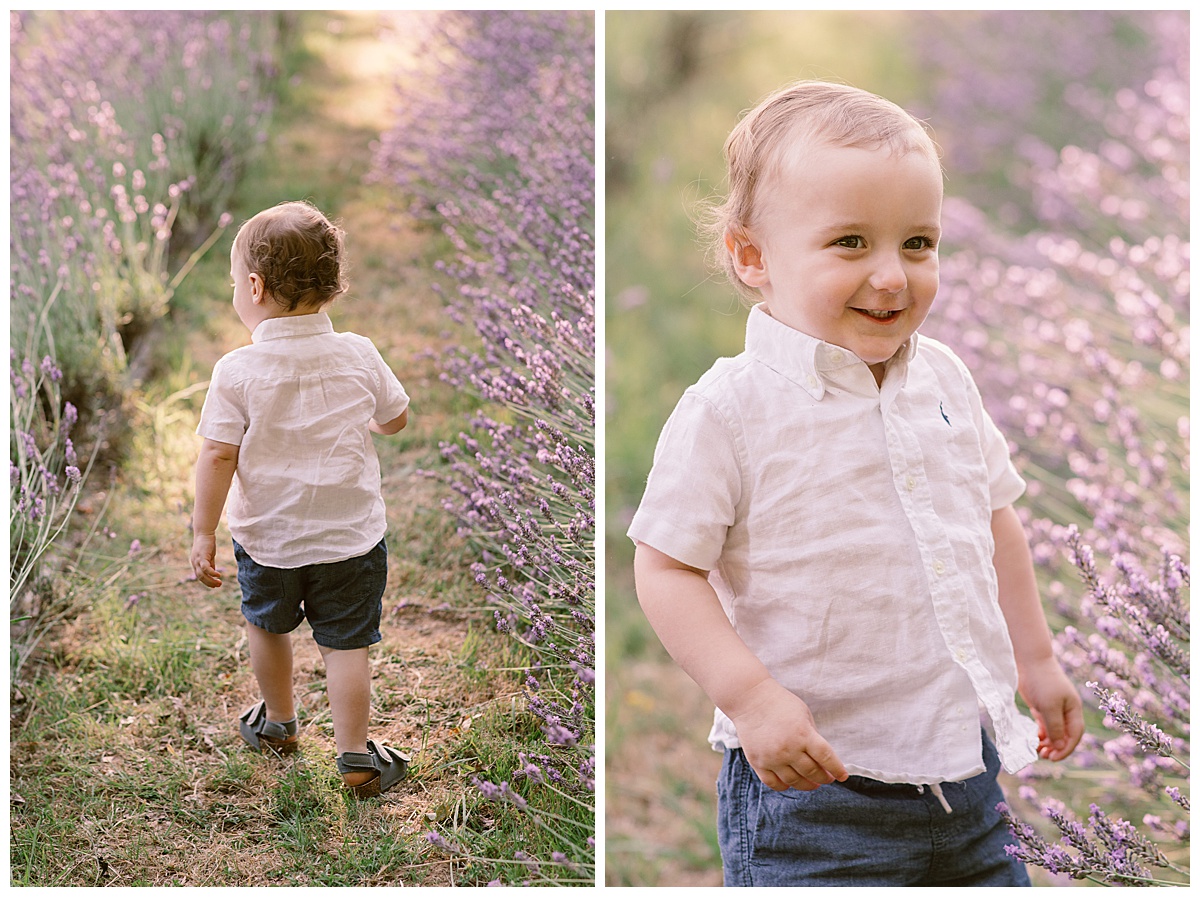 Little Boy in the lavender